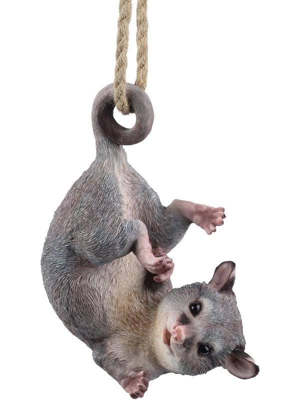 Hanging Ringtail Possum on Rope